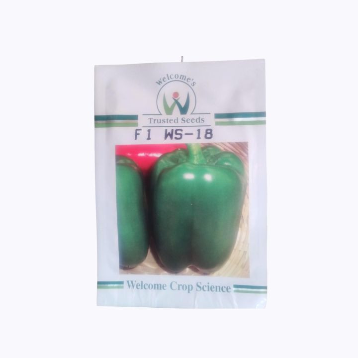 Welcome F1 WS-18 Capsicum Seeds